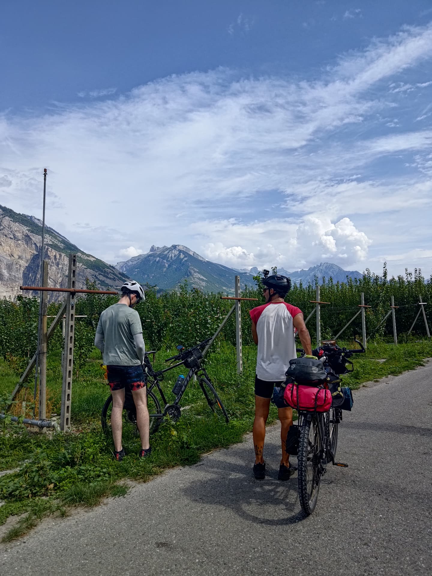 Two friends with loaded touring bikes stopped by an orchard path, mountains behind